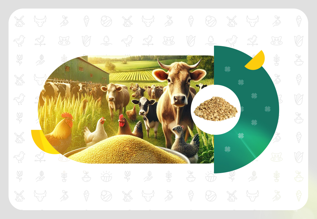 فول فت سویا